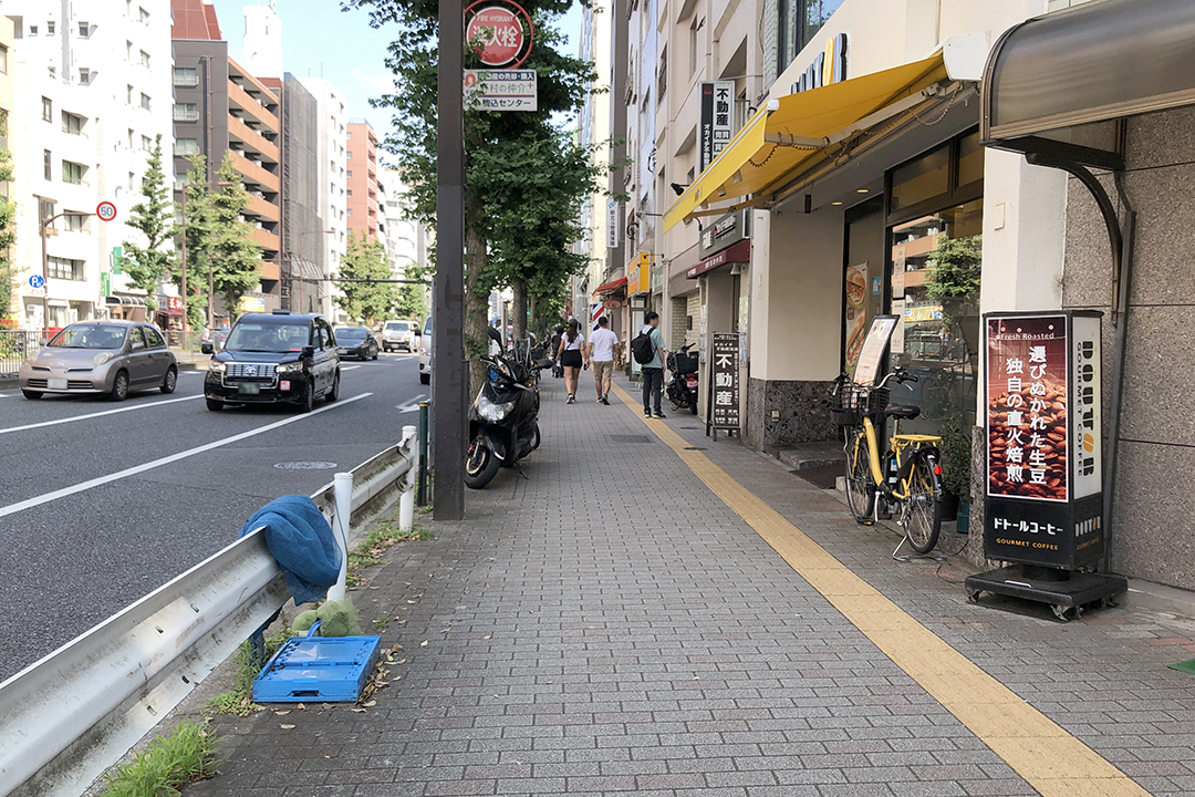 染井門から正門へと行く歩道を写した写真.