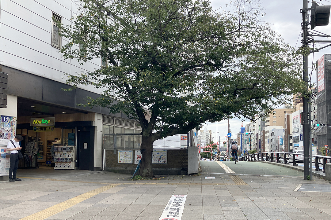 正面口から左方向の白山通り沿いの歩道を写した写真