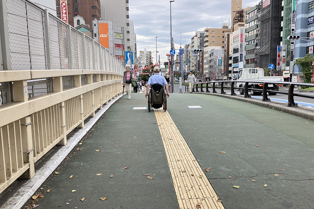 正面口から左に行くとすぐある巣鴨橋を渡っている筆者の写真