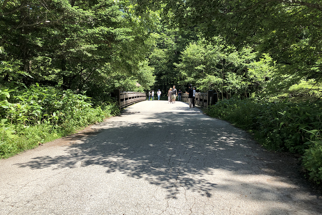 前方に田代橋が見えてきている写真