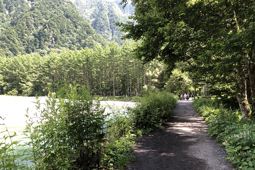 梓川の左岸を走る道の先にカラマツの林が見えてきている写真