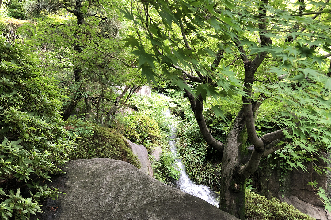 滝見台の左前方に滝が見える写真