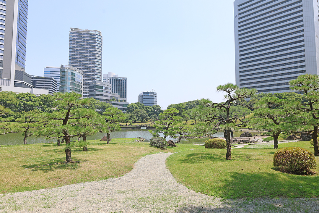 庭園内の風景