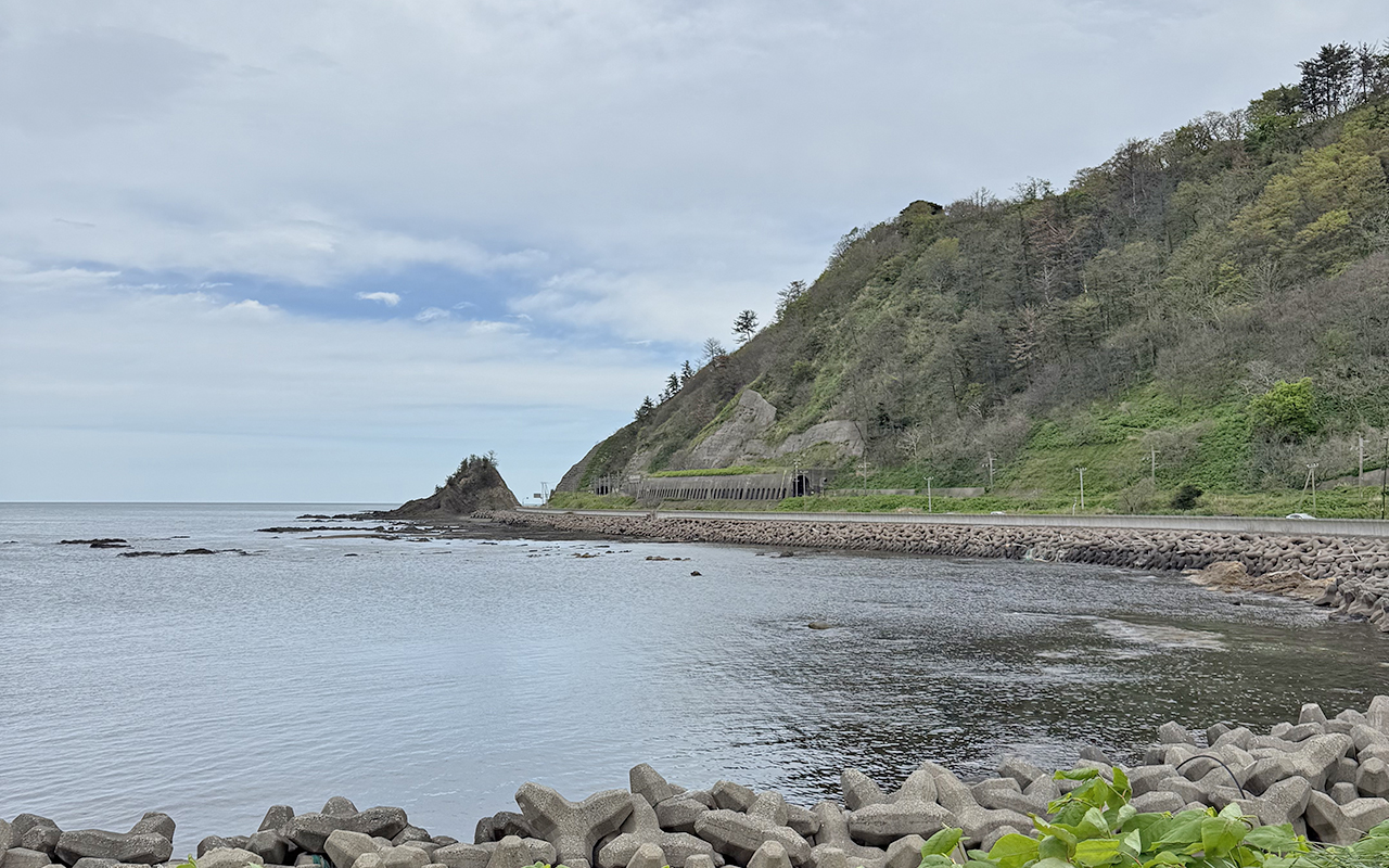 山形県鶴岡市にある道の駅から見た風景。