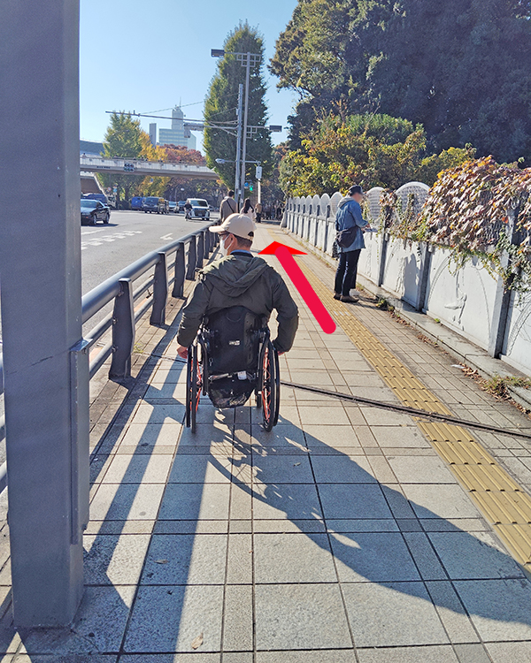 代々木公園通り沿いの歩道