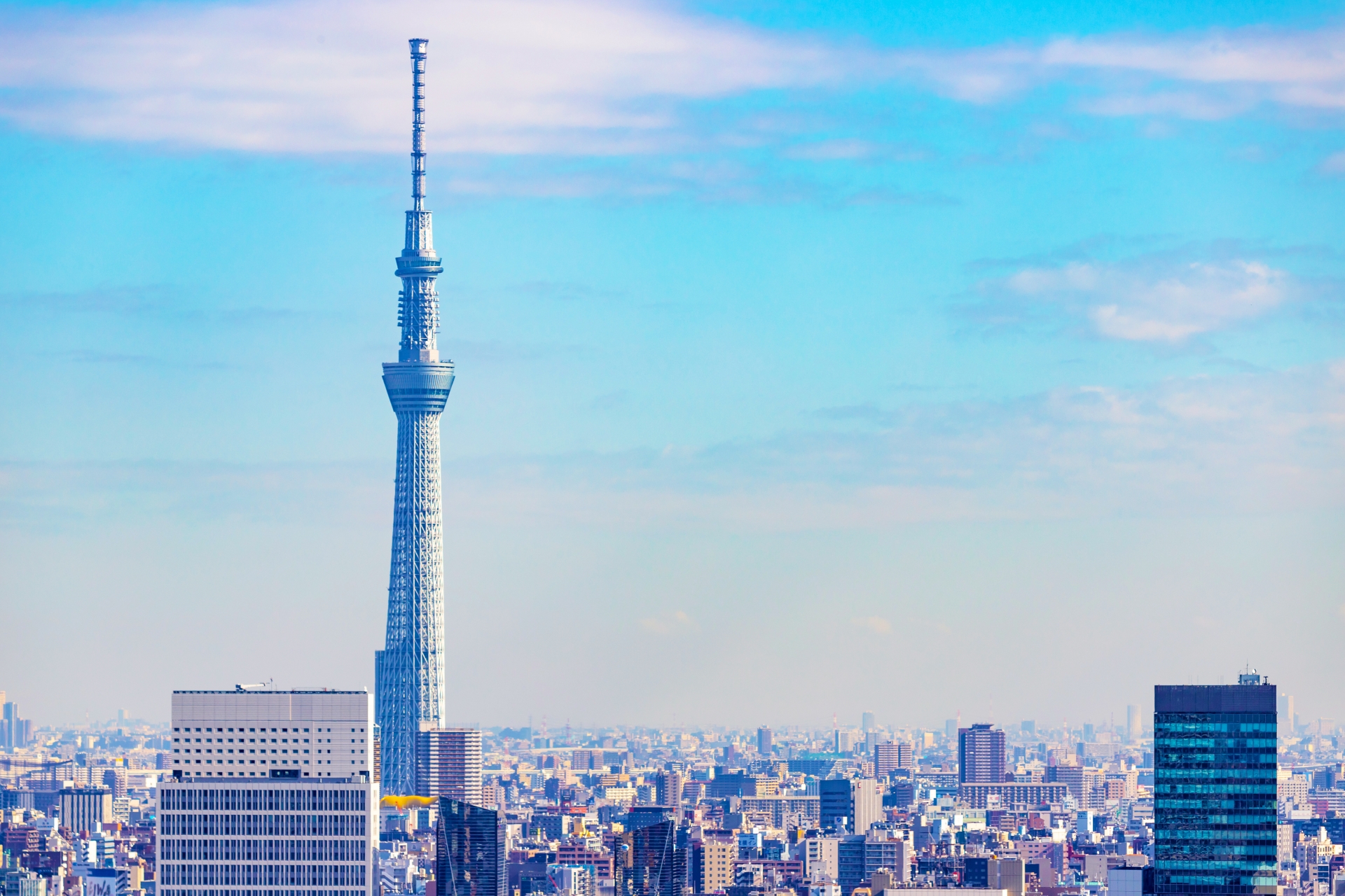 東京スカイツリーの写真