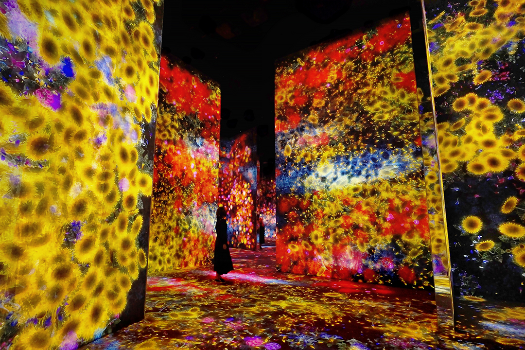 広い部屋の壁に色とりどりの花が咲き乱れる映像