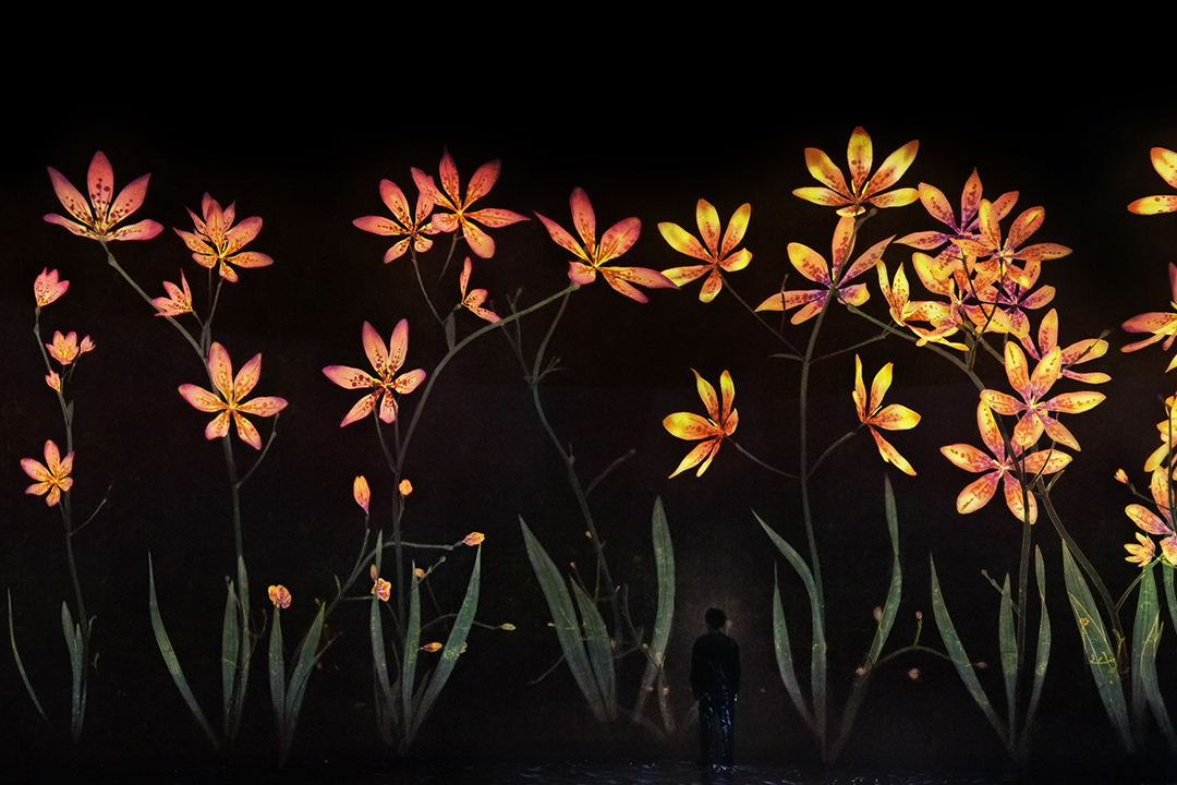 広い部屋の壁に広がる無数のオレンジ色の花