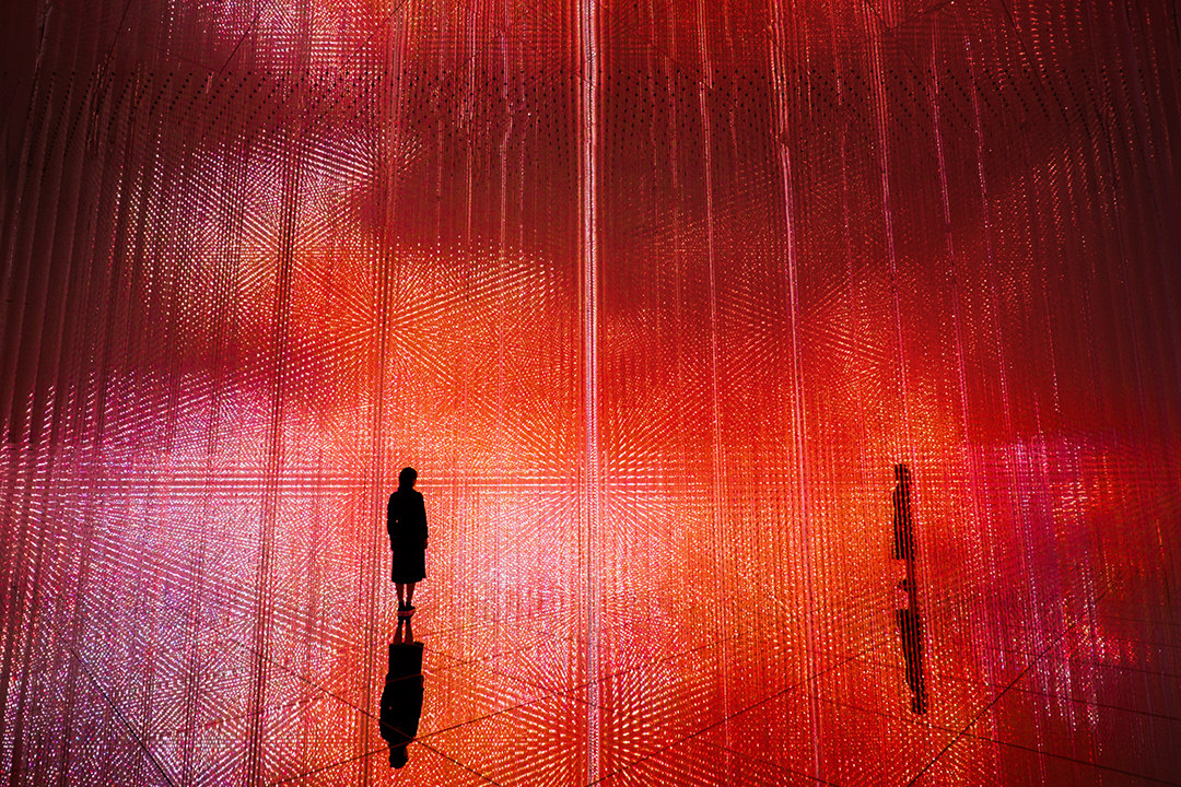 無数の赤系の光の点によって構成された映像