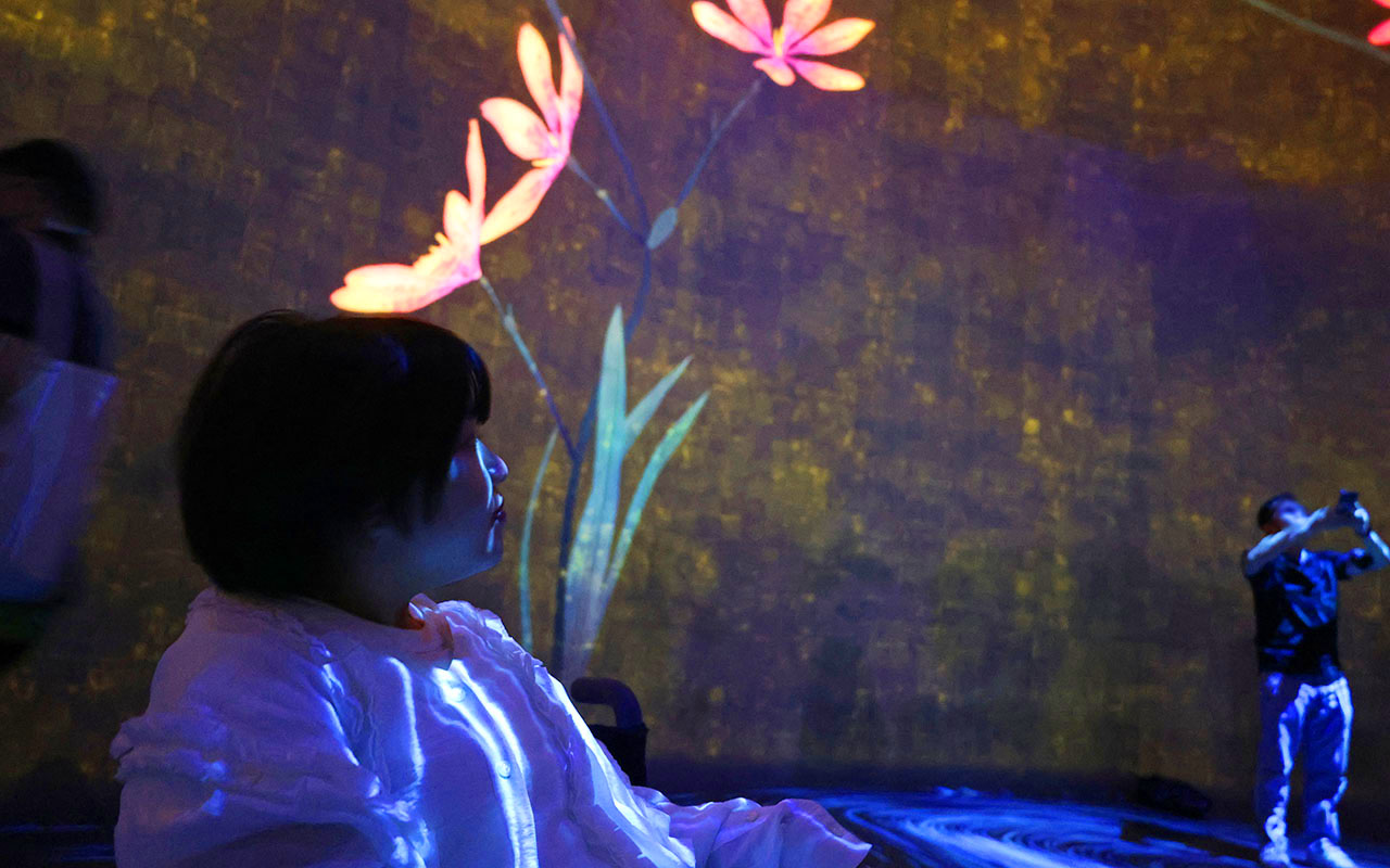 3輪の花の映像を眺める車いすの女性