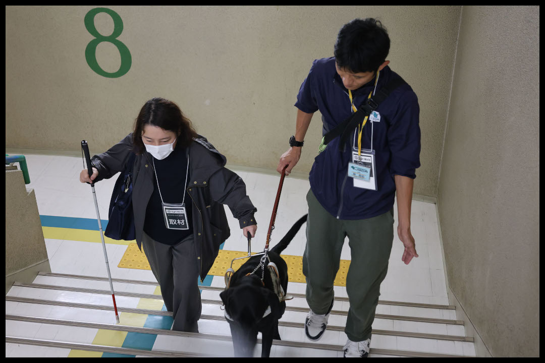 白杖を持ったライターが、盲導犬とともに階段を昇る様子