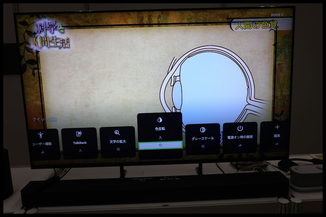 テレビ画面に「科学と人間生活」と目の構造の図が表示され、色反転や文字の拡大などのアクセシビリティ設定メニューが開いている