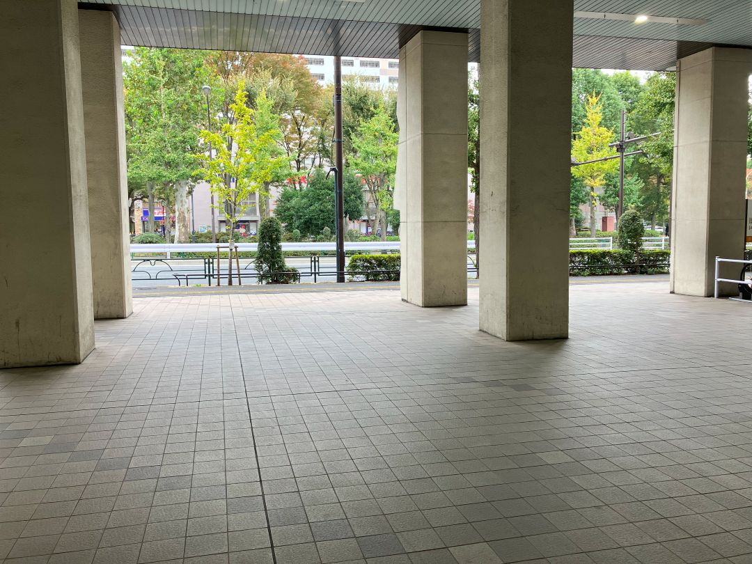 駅構内から外を見た景色 街路樹が見える