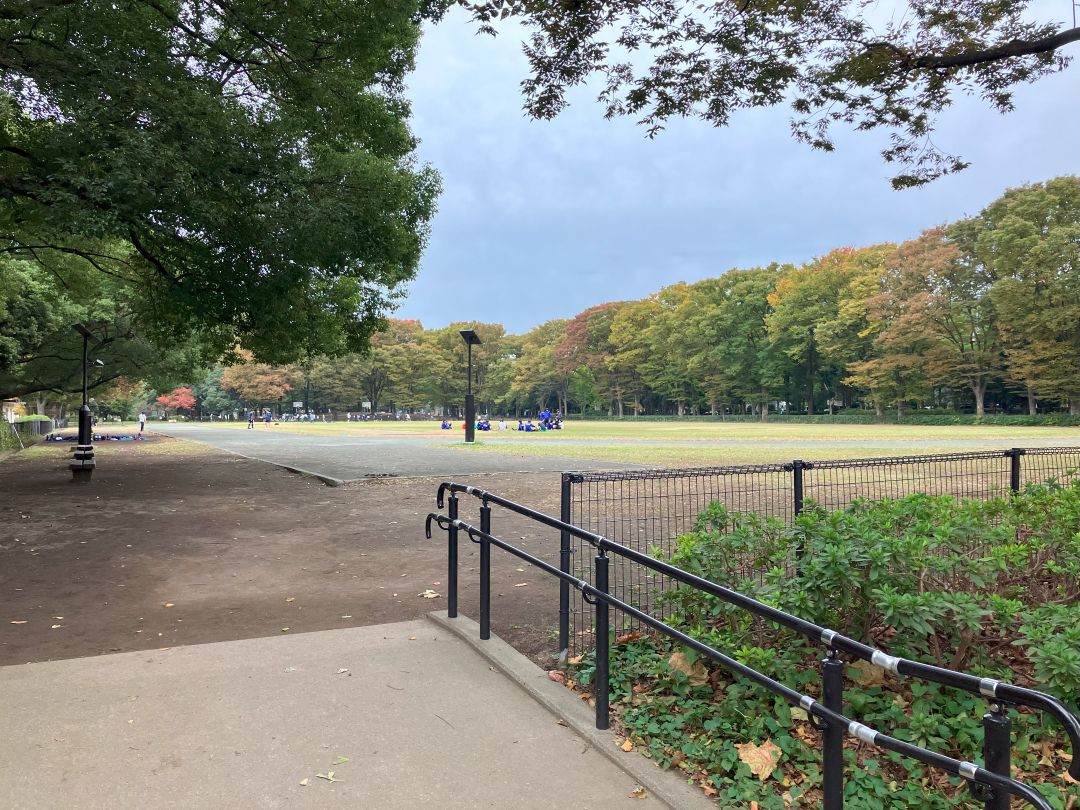 入口にスロープがある木々に囲まれた広いスペース