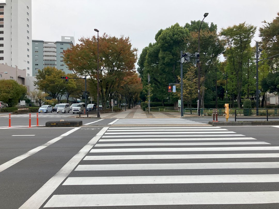 横断歩道が中央分離帯を挟んで伸びている