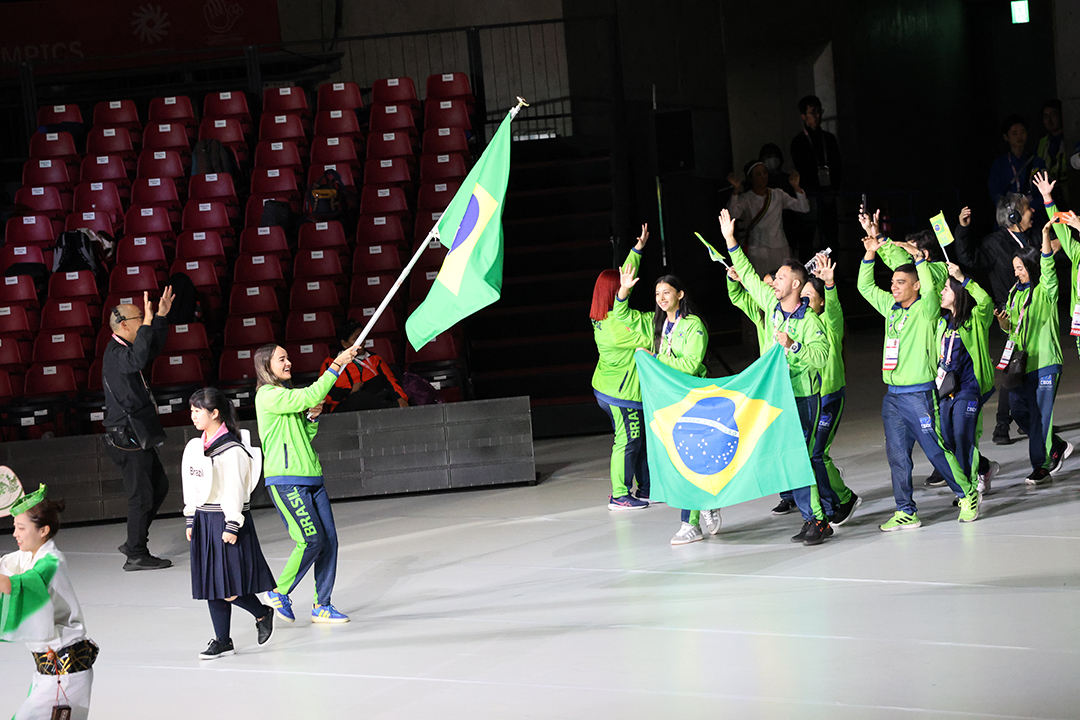 先頭の女性が後ろ向きで旗を振っています。衣装は国旗の色の緑と紺です