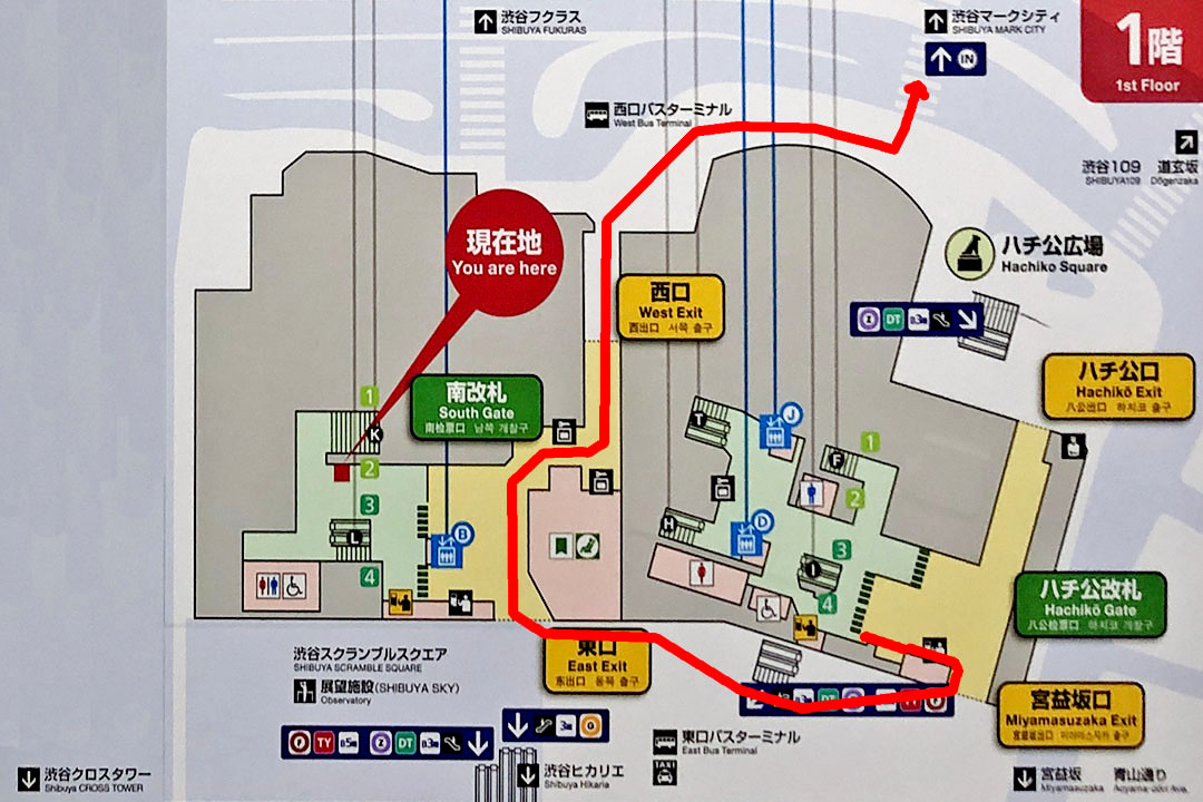 渋谷駅1階の改札と出口を示すイラスト