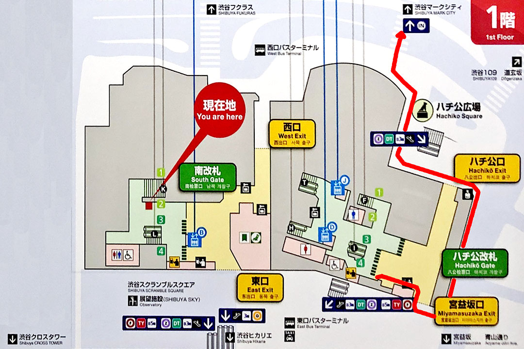 渋谷駅1階の改札と出口を示すイラスト