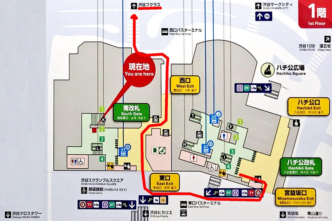 渋谷駅1階の改札と出口を示すイラスト