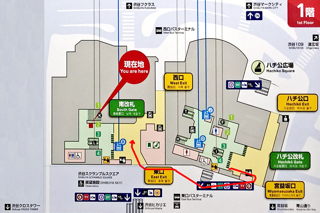 渋谷駅1階の改札と出口を示すイラスト