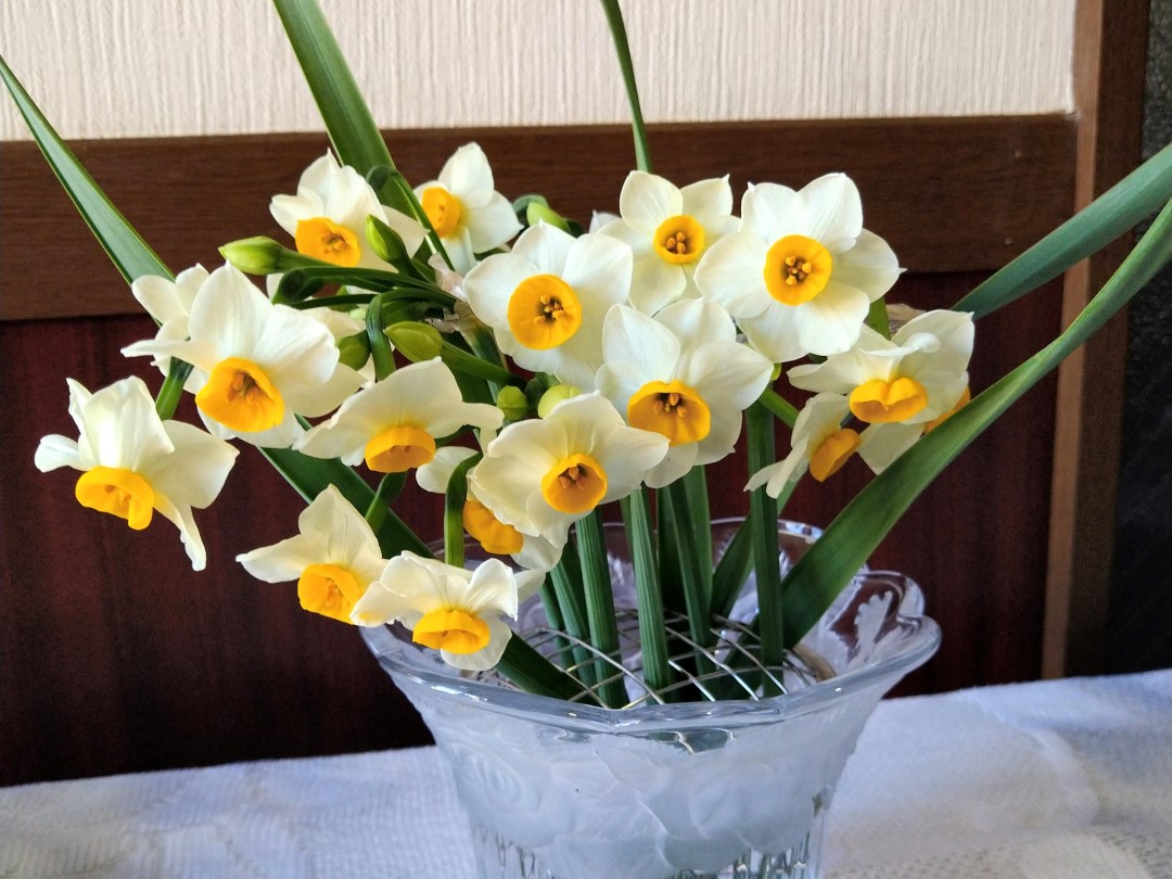 白い花びらの中央に、鮮やかなオレンジがかった黄色の副花冠を持つスイセンの花束が、透明なガラスの花瓶に生けられています。