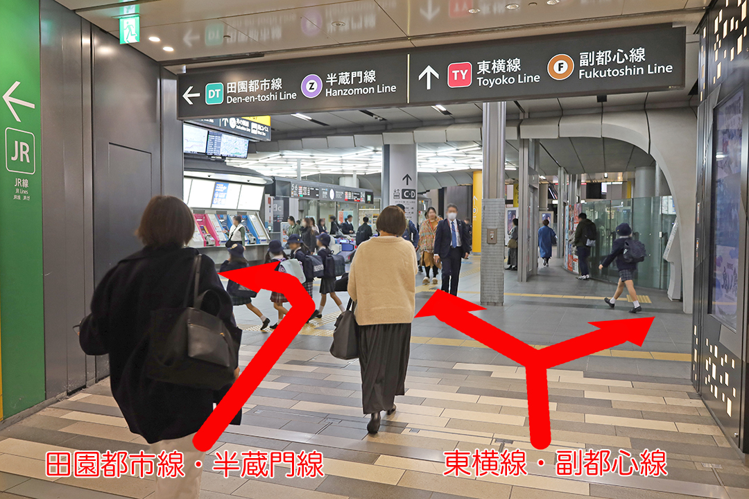 各路線の案内板