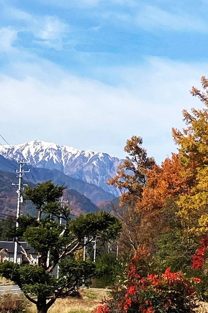 手前は紅葉で、奥に山が見えます。