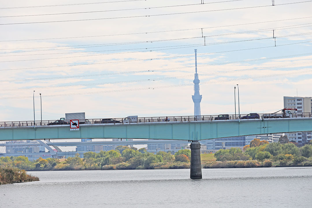葛飾区近辺、東京スカイツリーが見えます。